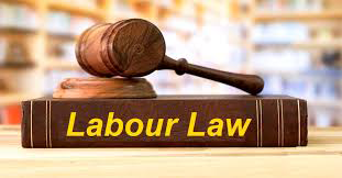 Labour law Advisor